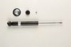 BILSTEIN 19-020068 Shock Absorber